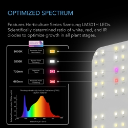 AC Infinity IONBOARD S33 – Full Spectrum LED Grow Light 260W