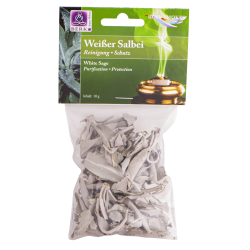 Weißer Salbei (Salvia apiana) - 10g