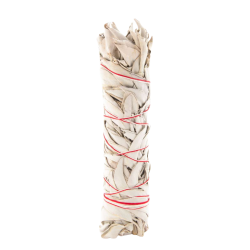 Bâton de sauge blanche