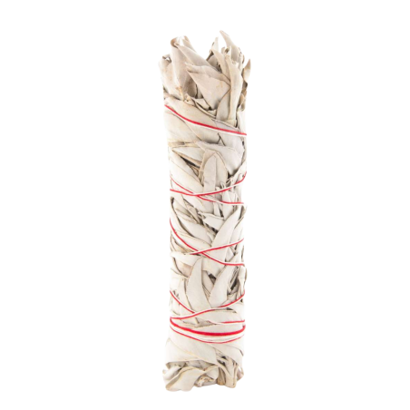 White Sage Smudge Stick