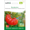 Brandywine  – organic beef tomato