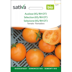 Sativa Auslese (KS/RH OT) – organic tomato
