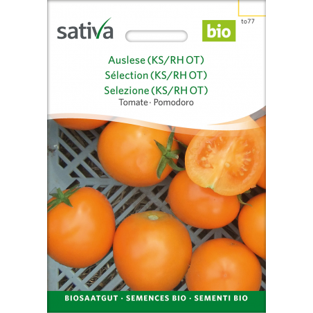 Sativa Auslese (KS/RH OT) - Tomate Bio
