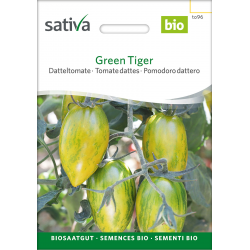 Sativa Green Tiger – Datteltomate Bio