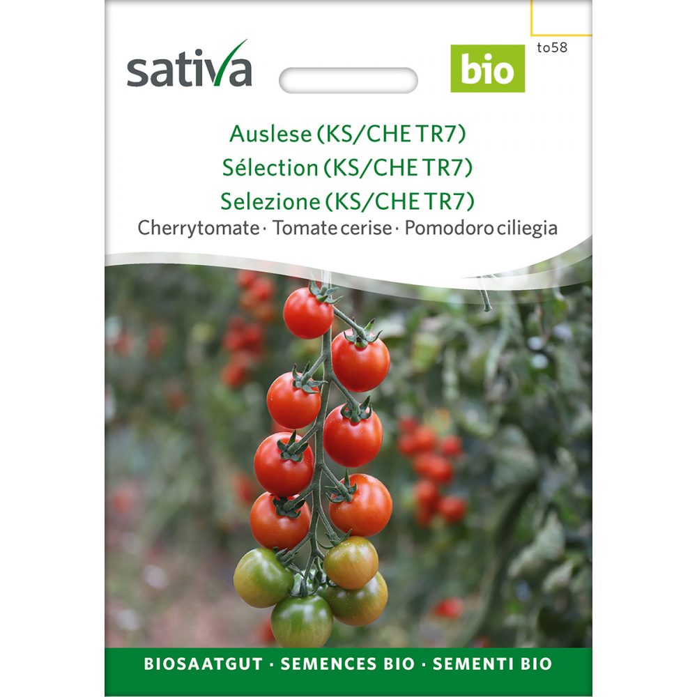 Sativa Tiamarie – Cherrytomate Bio