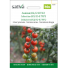 Sativa Tiamarie – Tomate cerise bio