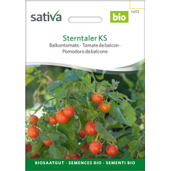 Sativa Sterntaler KS – Organic cherry tomato