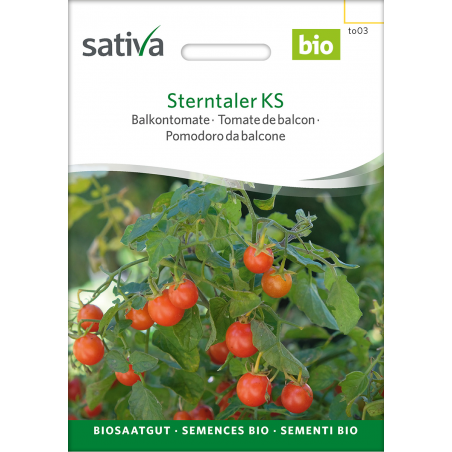 Sativa Sterntaler KS – Organic cherry tomato