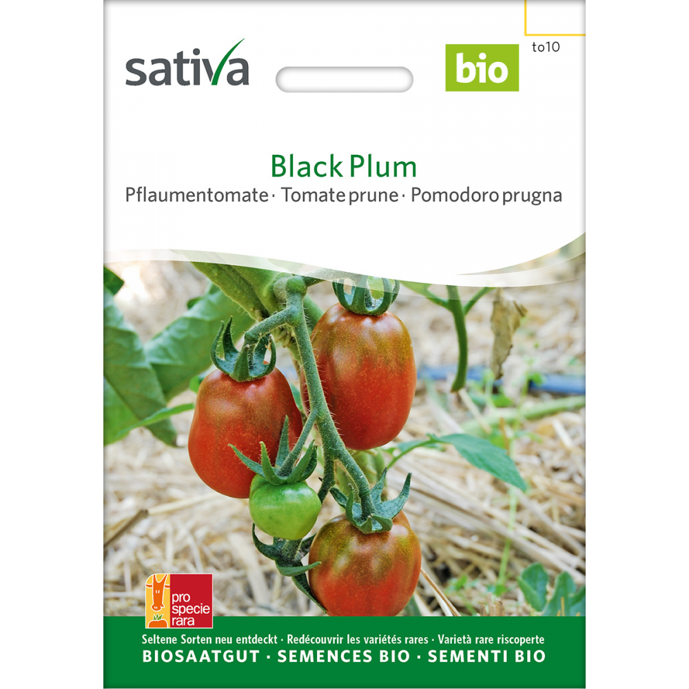 Sativa Black Plum –  Organic Plum tomato
