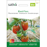 Sativa Black Plum –  Pflaumentomate Bio