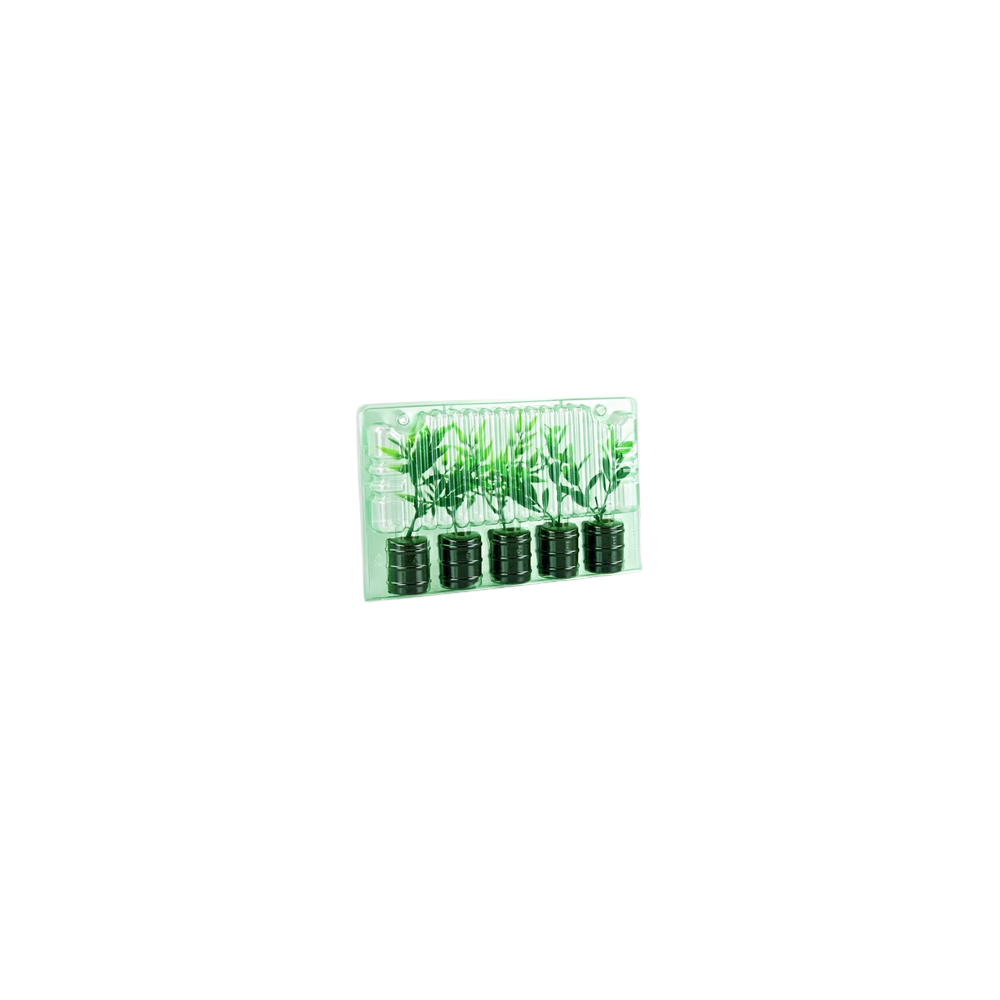 Transparent transport box for 5 cuttings