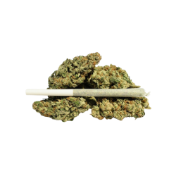 Holy Shit -  Vorgedrehte Cannabis Joints
