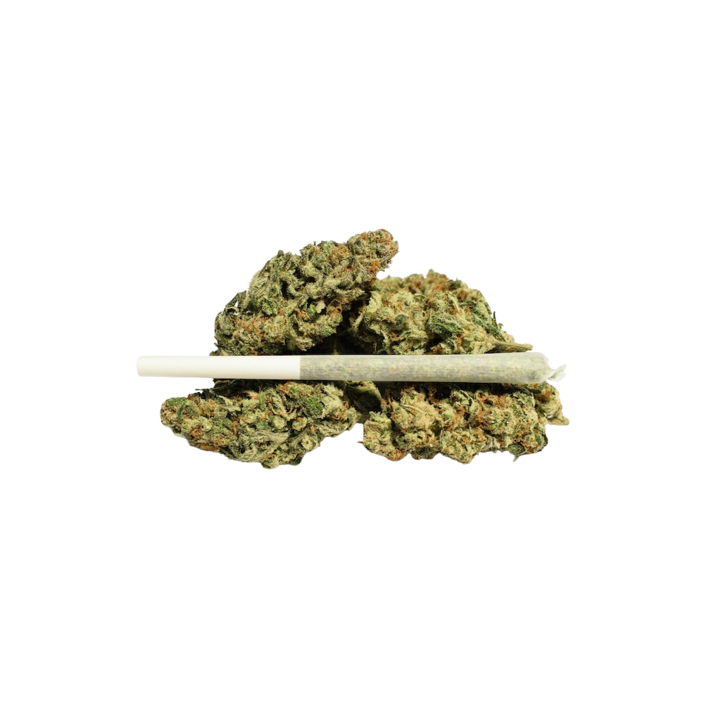 Holy Shit - Des joints de cannabis roulés
