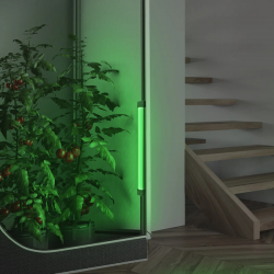 AC Infinity IONBEAM Grün