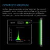 AC Infinity Ionbeam Green
