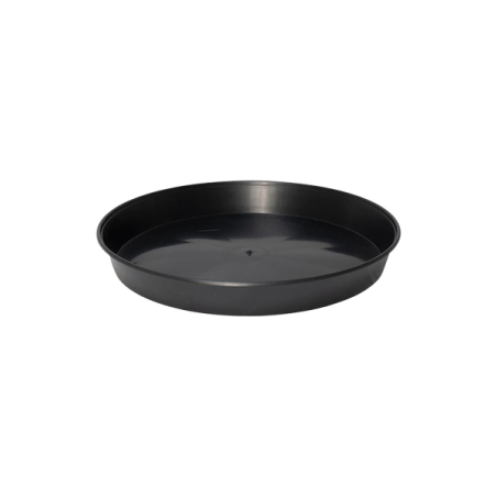 Pasquini Soucoupes, 18cm