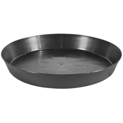 Pasquini Soucoupes rondes, 35 cm