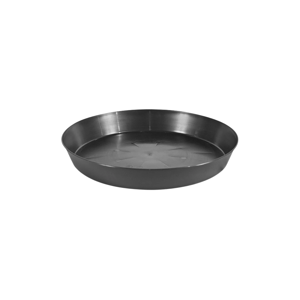 Pasquini Round saucer, 35 cm