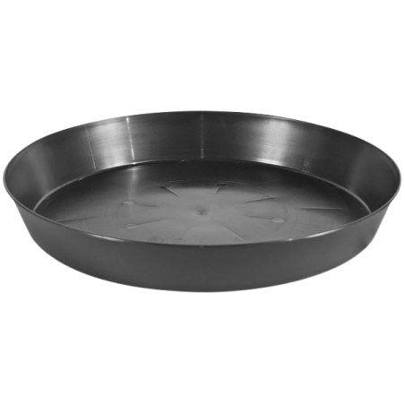 Pasquini Round saucer, 35 cm