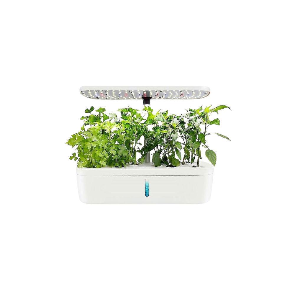 HTP Kitchen Garden Mini
