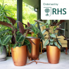 Khloris Watering System