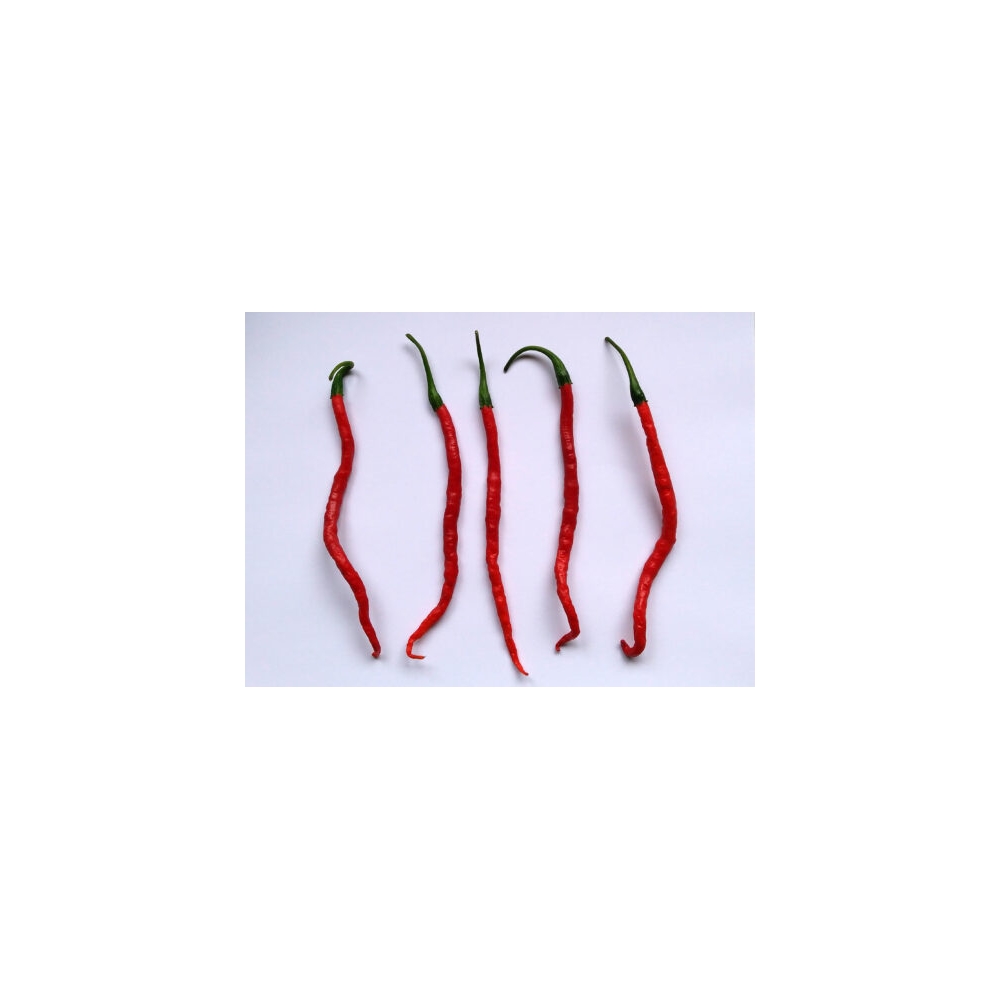 Greendoor Cabe Keriting –  Chili Samen