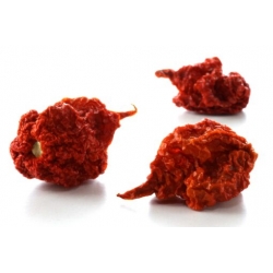 Greendoor Carolina Reaper Red – Chili Seeds