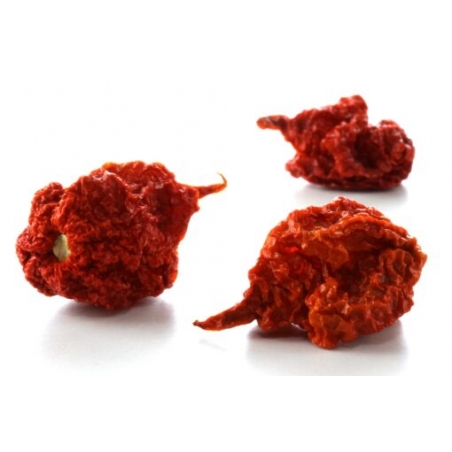 Greendoor Carolina Reaper Red –  Chili Samen