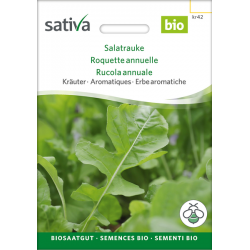 Sativa Rheinau Salatrauke / Rucola - Samen