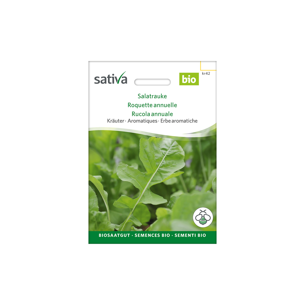 Sativa Rheinau Salatrauke / Rucola - Samen