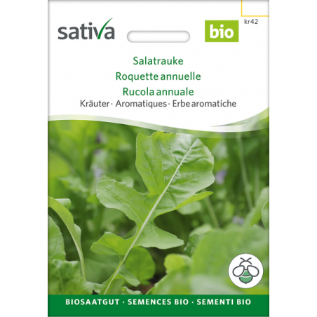 Sativa Rheinau Salatrauke / Rucola - Samen