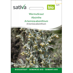 Sativa Rheinau Wormwood – Seeds