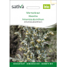 Sativa Rheinau Wormwood – Seeds