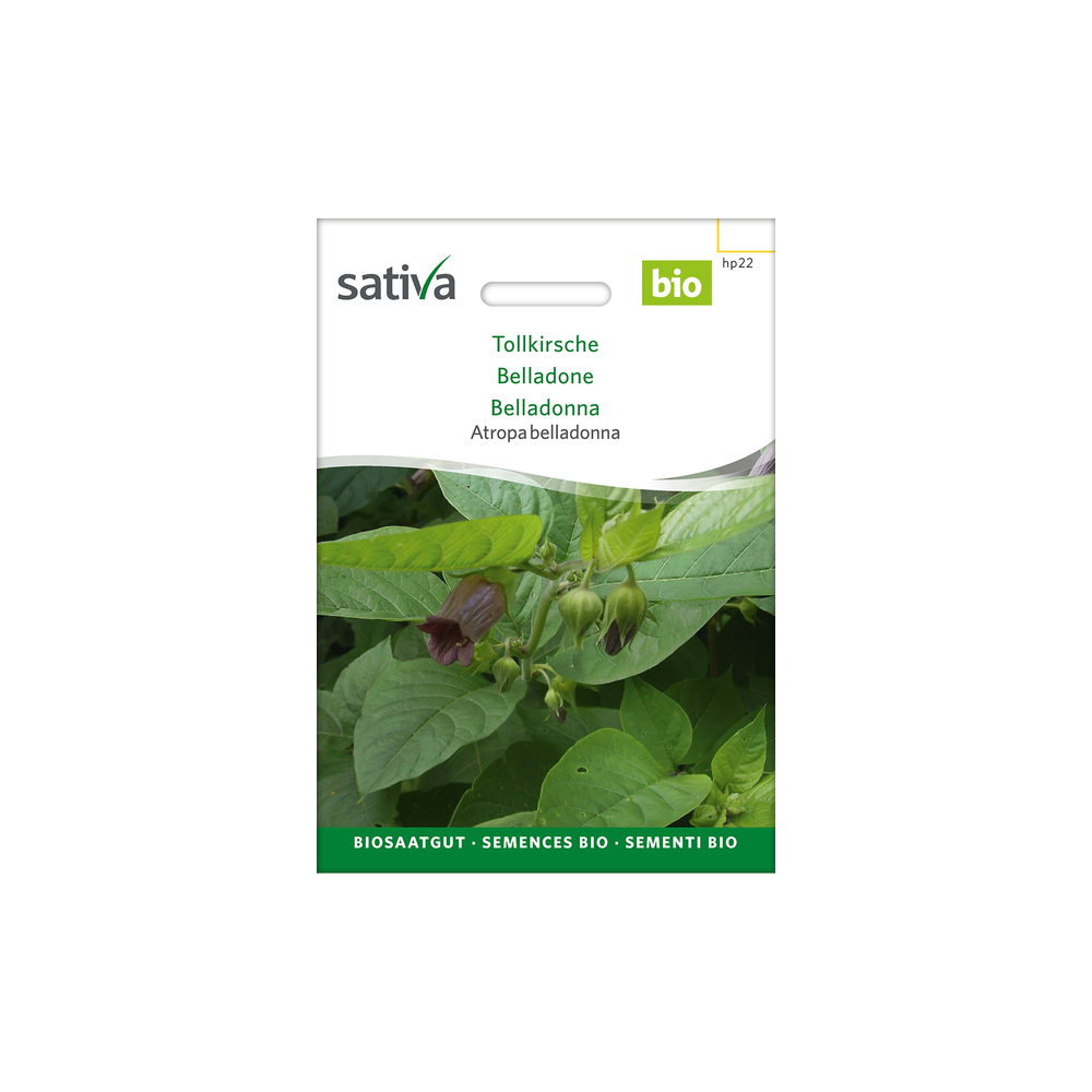 Sativa Rheinau Deadly Nightshade – Seeds
