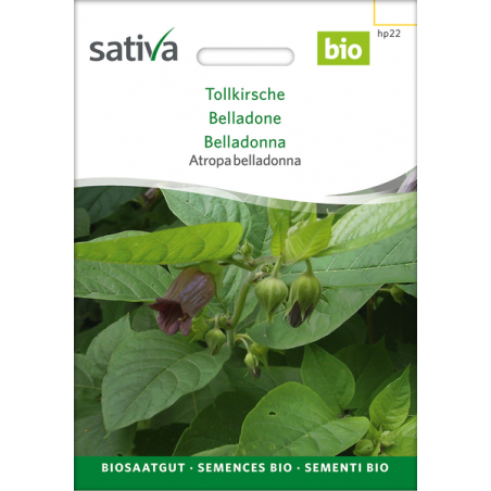 Sativa Rheinau Tollkirsche – Samen