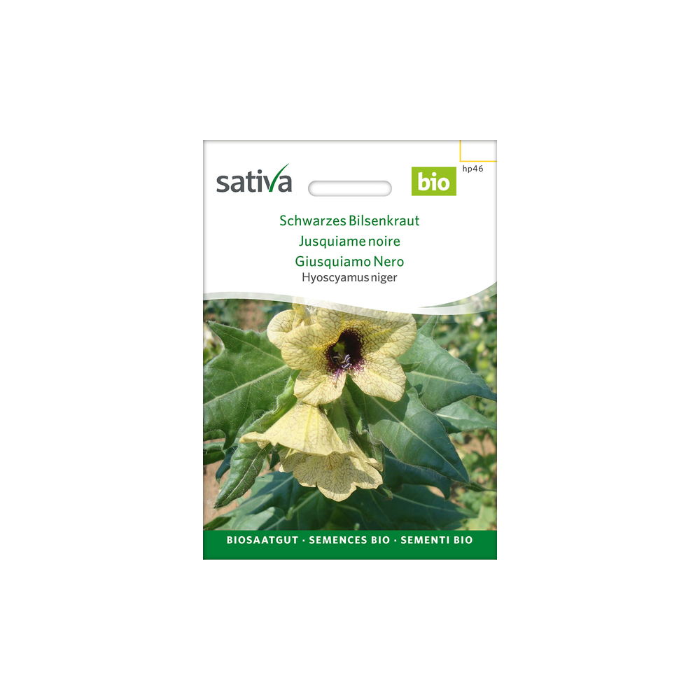 Sativa Rheinau Schwarzes Bilsenkraut – Samen