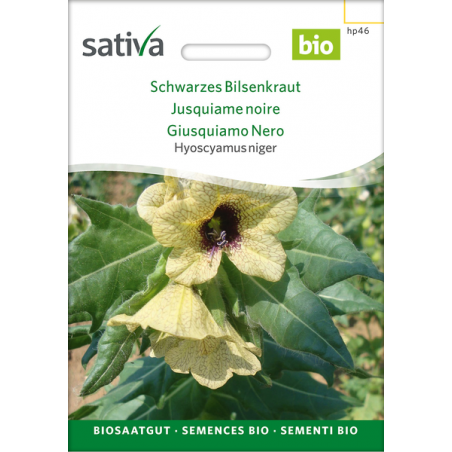 Sativa Rheinau Jeune herbe noire – Graines