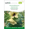 Sativa Rheinau Schwarzes Bilsenkraut – Samen