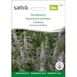 Sativa Rheinau Motherwort – Seeds