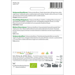 Sativa Rheinau Molène à grandes fleurs – Graines