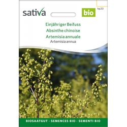 Sativa Rheinau Annual Mugwort – Seeds