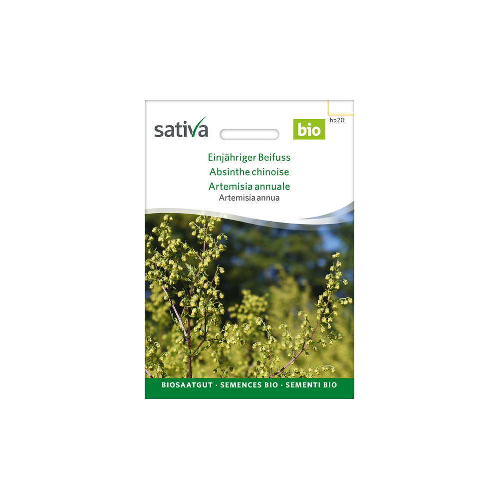 Sativa Rheinau Annual Mugwort – Seeds