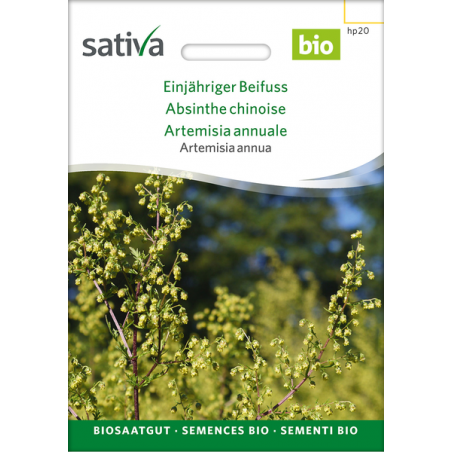 Sativa Rheinau Einjähriger Beifuß – Samen