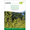 Sativa Rheinau Annual Mugwort – Seeds
