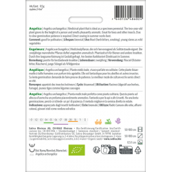 Sativa Rheinau Angélique – Graines