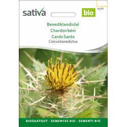 Sativa Rheinau Benediktendistel – Samen
