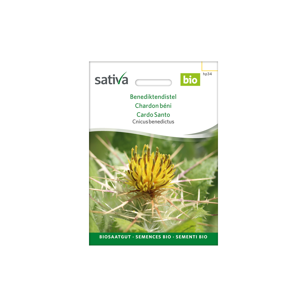 Sativa Rheinau Benediktendistel – Samen