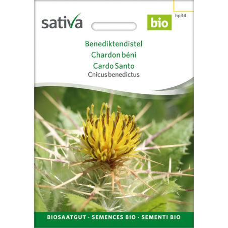 Sativa Rheinau Benediktendistel – Samen