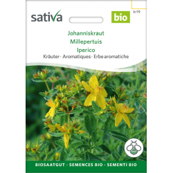 Sativa Rheinau Johanniskraut – Samen
