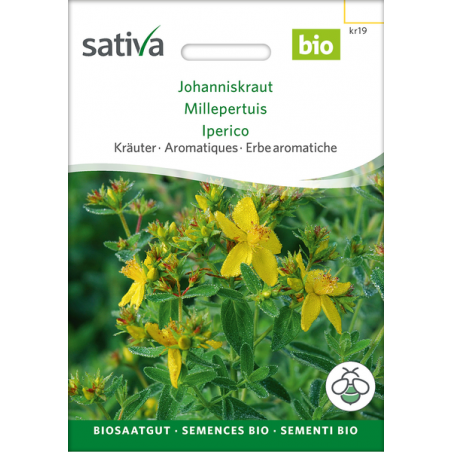 Sativa Rheinau Johanniskraut – Samen